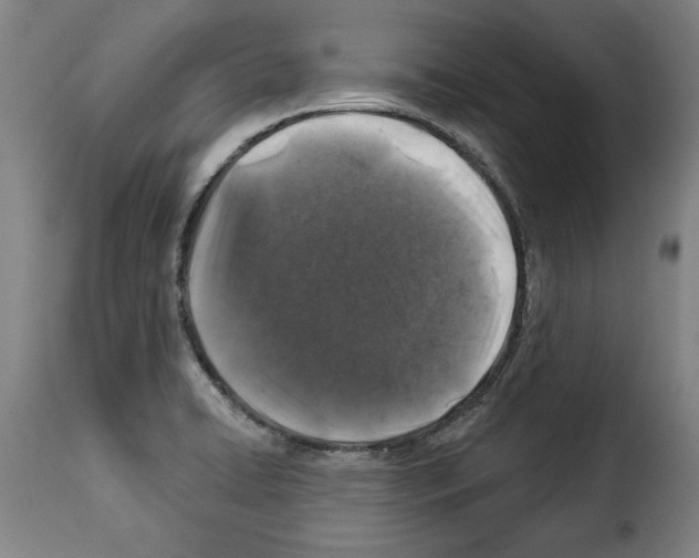 X0000114211422200911201013