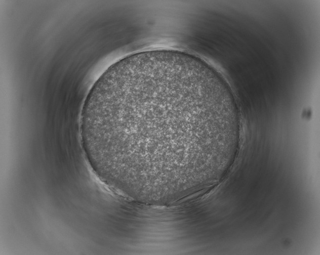 X0000114211423200911201013