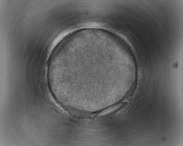 X0000114211424200911201013