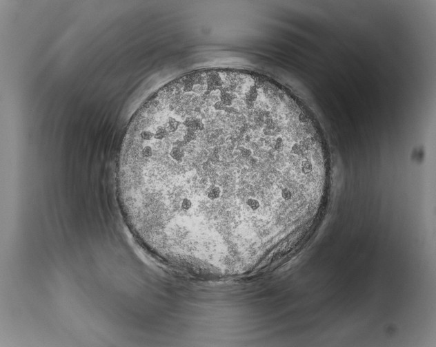 X0000114211425200911201013