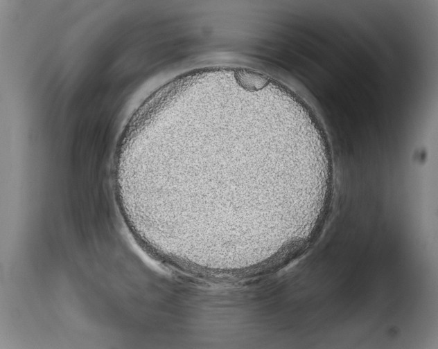X0000114211429200911201013