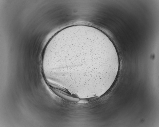 X0000114211430200911201013