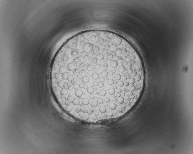 X0000114211432200911201013