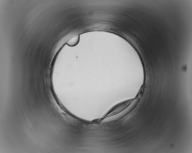 X0000114211434200911201013