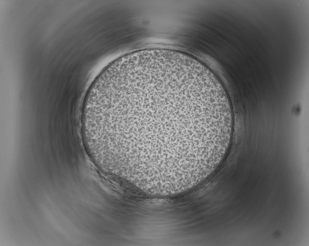 X0000114211435200911201013