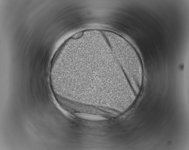 X0000114211437200911201013