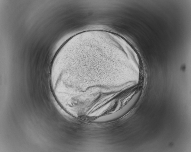 X0000114211438200911201013