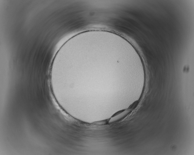 X0000114211440200911201013
