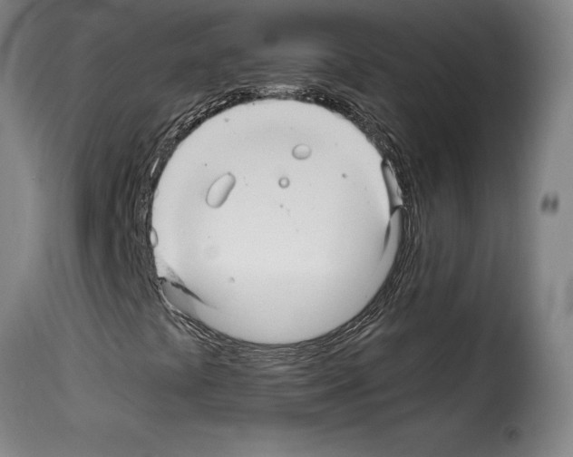 X0000114211441200911201012