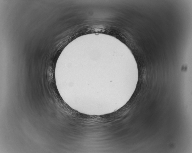 X0000114211442200911201012