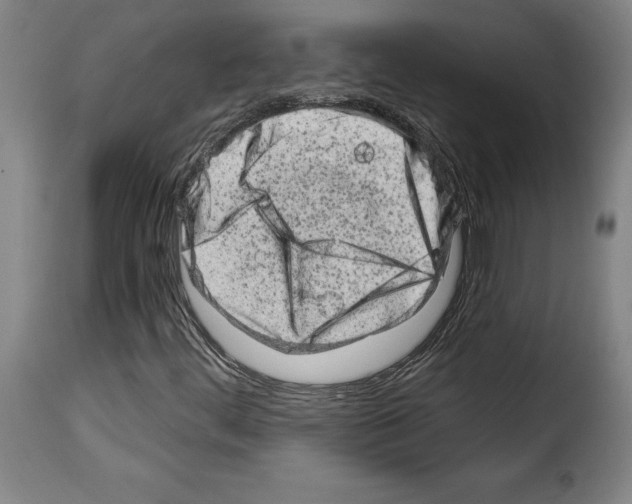 X0000114211444200911201012