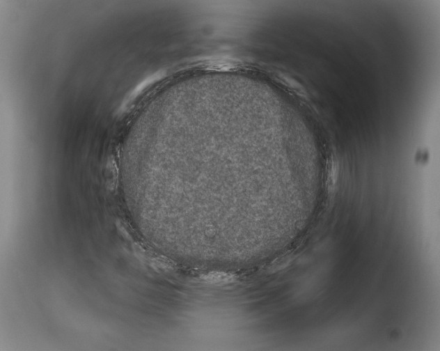 X0000114211446200911201012
