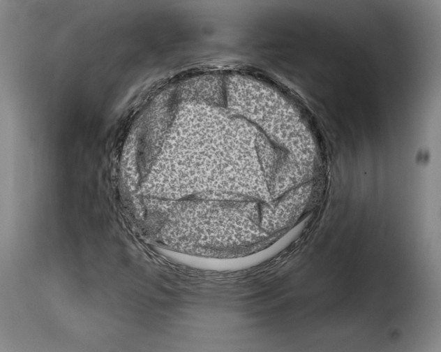X0000114211447200911201012