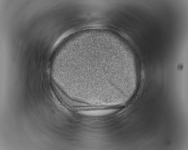 X0000114211450200911201012