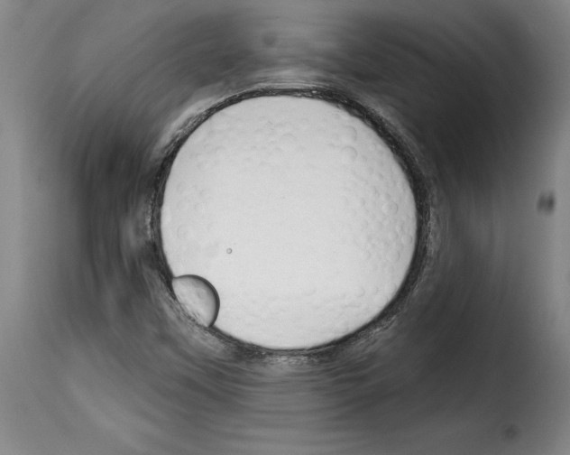 X0000114211451200911201012