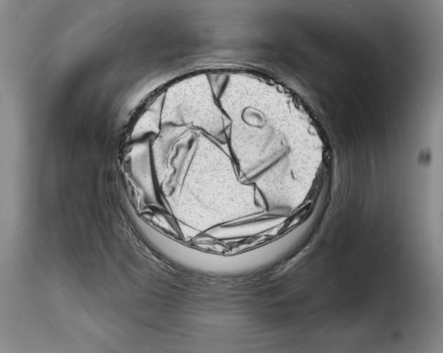 X0000114211453200911201012