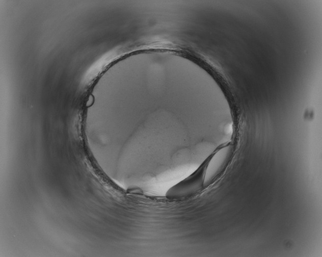X0000114211455200911201012