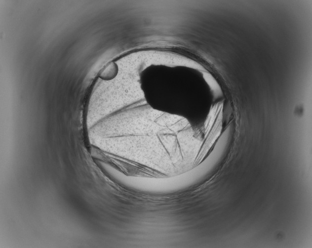 X0000114211459200911201012
