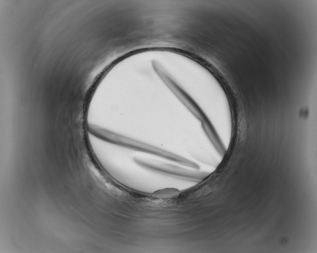 X0000114211460200911201012