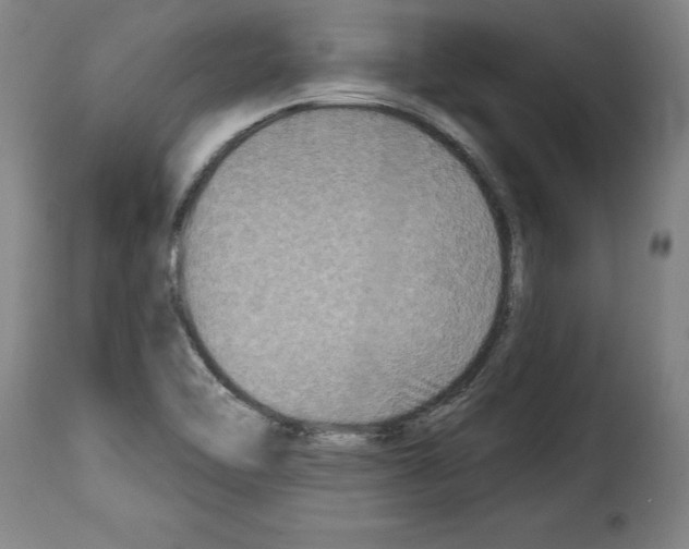 X0000114211462200911201012