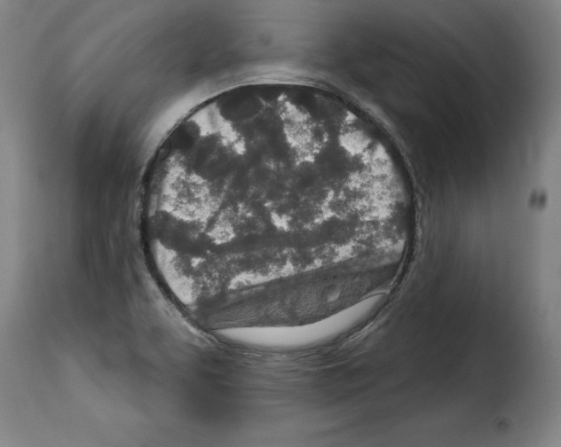 X0000114211463200911201012