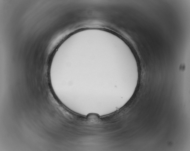 X0000114211464200911201012