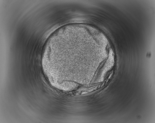 X0000114211465200911201012