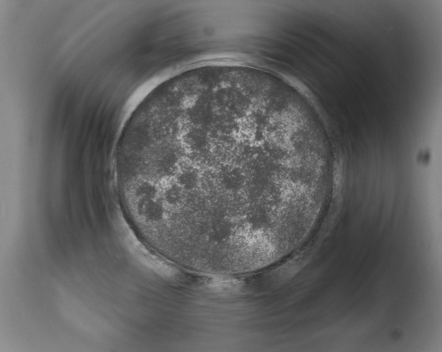 X0000114211466200911201012