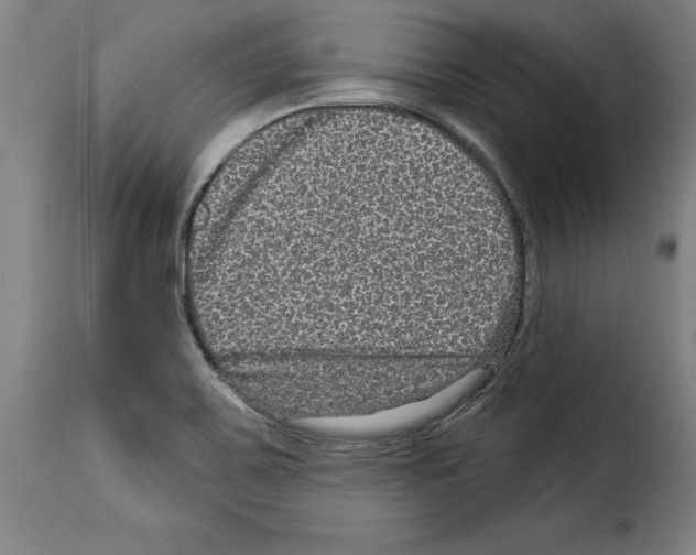 X0000114211467200911201012