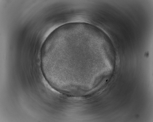 X0000114211468200911201012