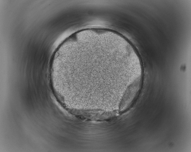 X0000114211469200911201012