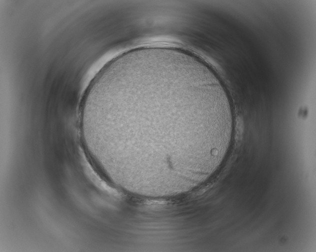 X0000114211470200911201012