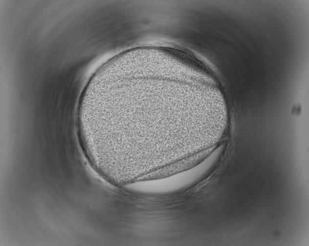 X0000114211471200911201012