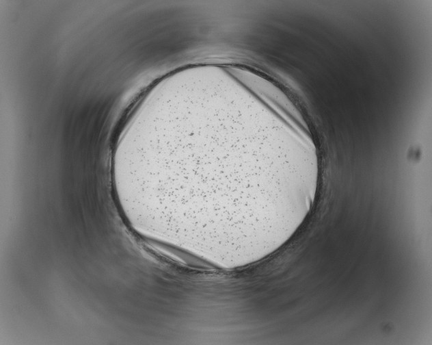 X0000114211472200911201012