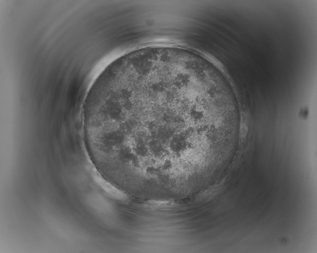 X0000114211474200911201012