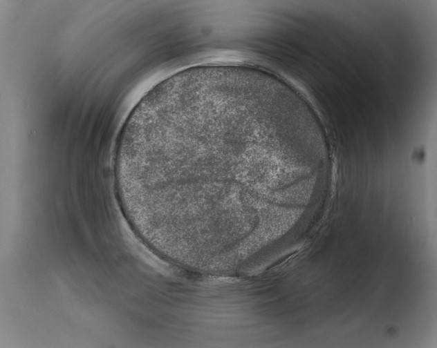 X0000114211475200911201012