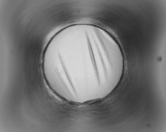 X0000114211480200911201012
