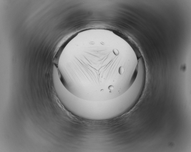 X0000114211481200911201012