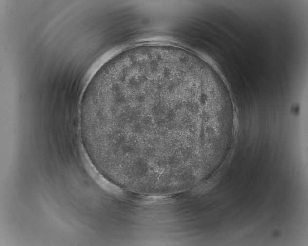 X0000114211482200911201012