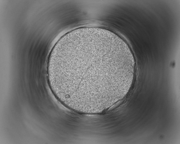 X0000114211483200911201011