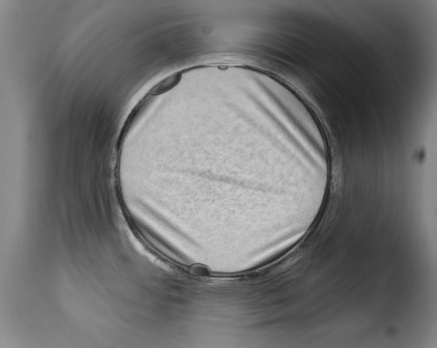 X0000114211484200911201011