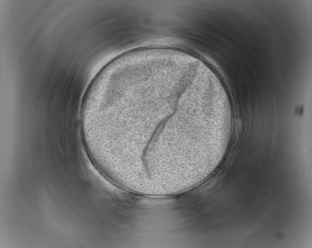 X0000114211487200911201011