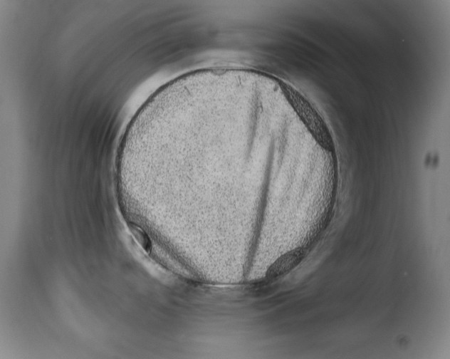 X0000114211488200911201011