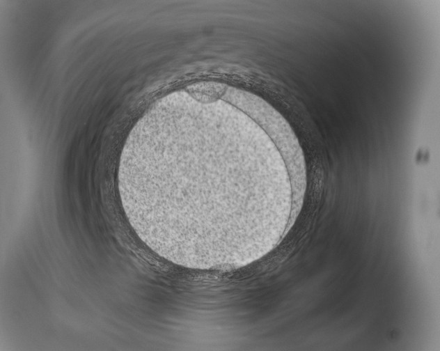 X0000114211489200911201011
