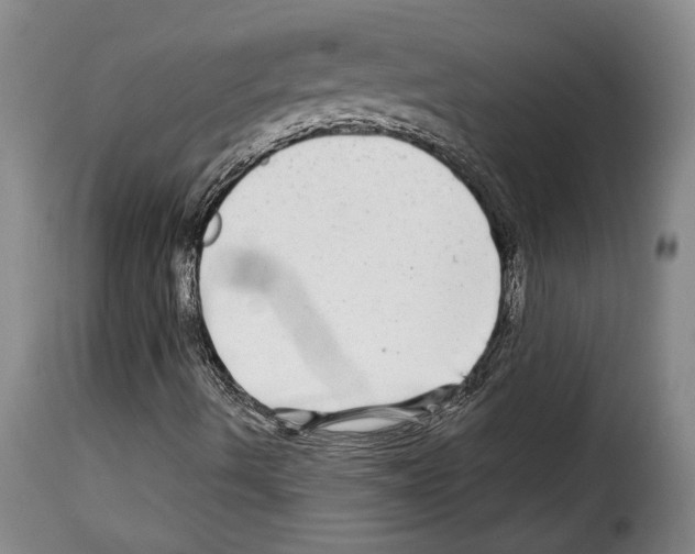 X0000114211490200911201011