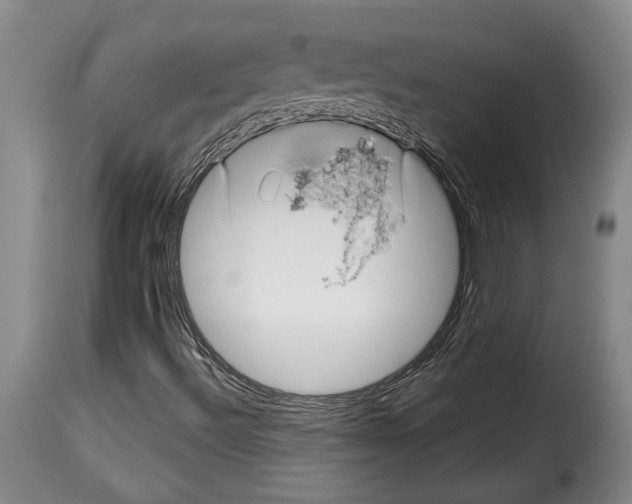 X0000114211492200911201011