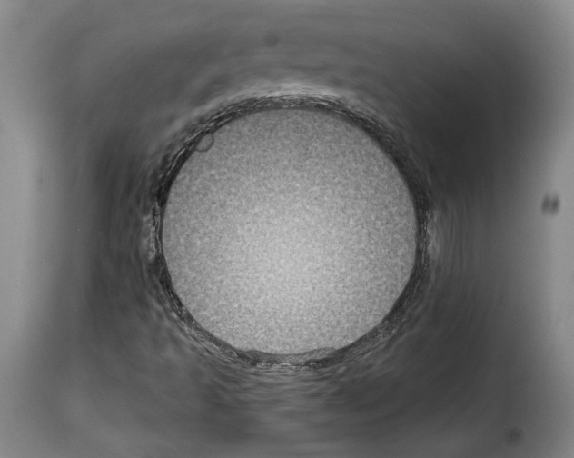 X0000114211493200911201011