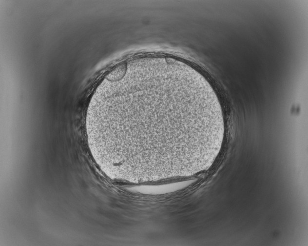 X0000114211494200911201011