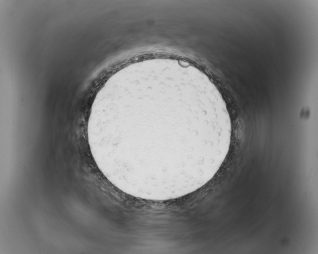 X0000114211495200911201011