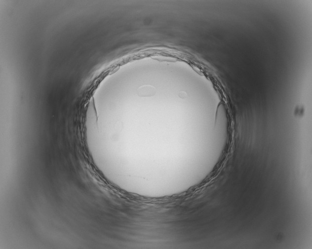 X0000114211496200911201011